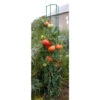 Colonne Tomate : 180cm
