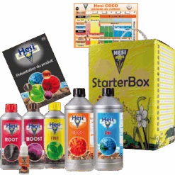 Starterbox Coco