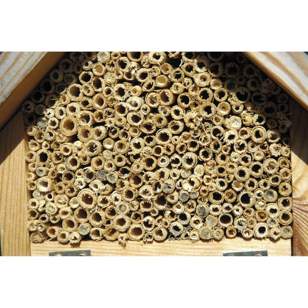 Hôtel à Insectes Naturel, Rouge Et Vert – Image 4