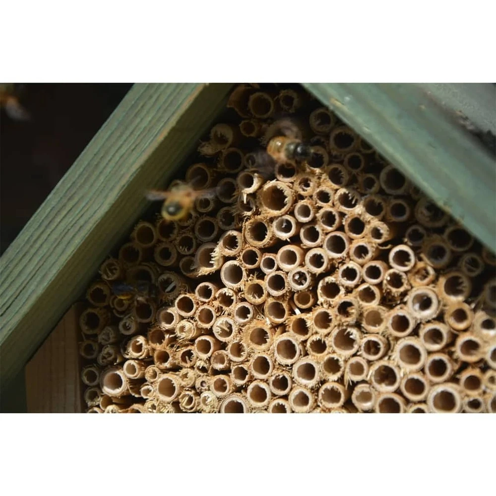 Hôtel à Insectes Naturel, Rouge Et Vert – Image 6