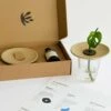 Coffret De Germination